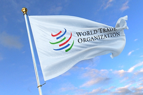 WTO、電子商取引交渉の一部で実質的妥結を発表、残りは協議継続
